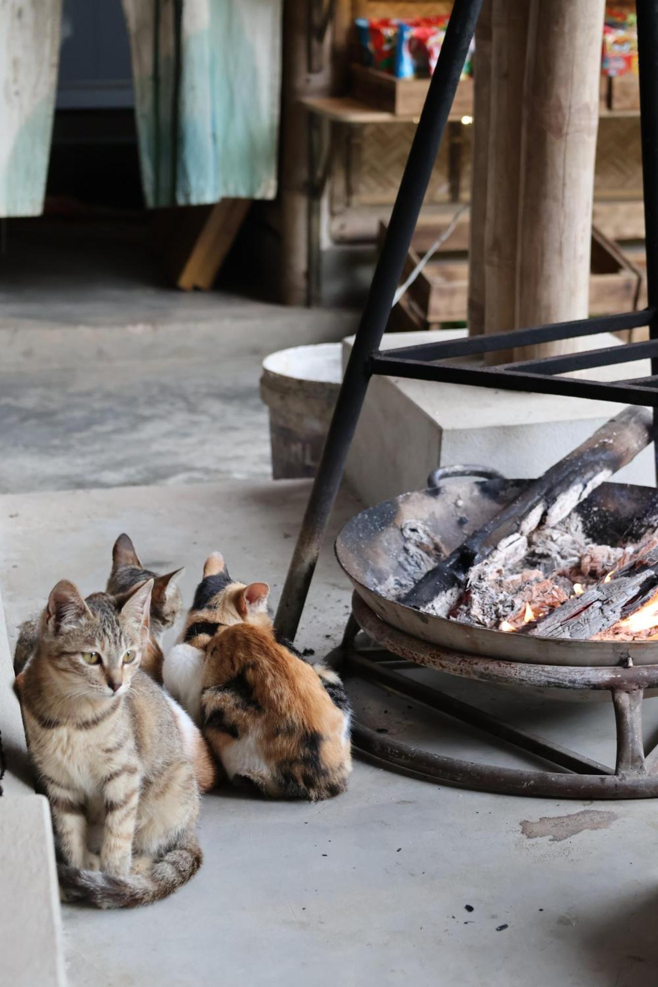 Dinh Gia Trang - Homestay & Coffee The Ruong Eksteriør bilde