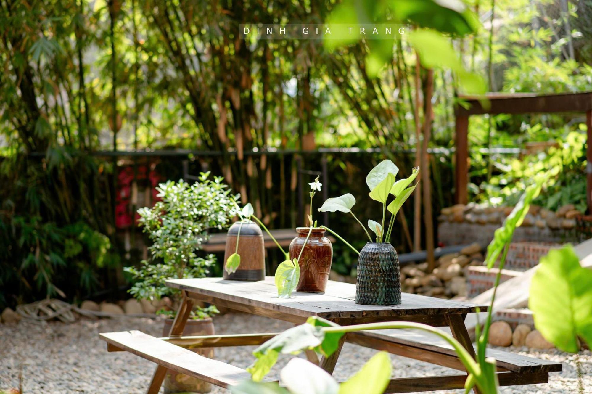 Dinh Gia Trang - Homestay & Coffee The Ruong Eksteriør bilde