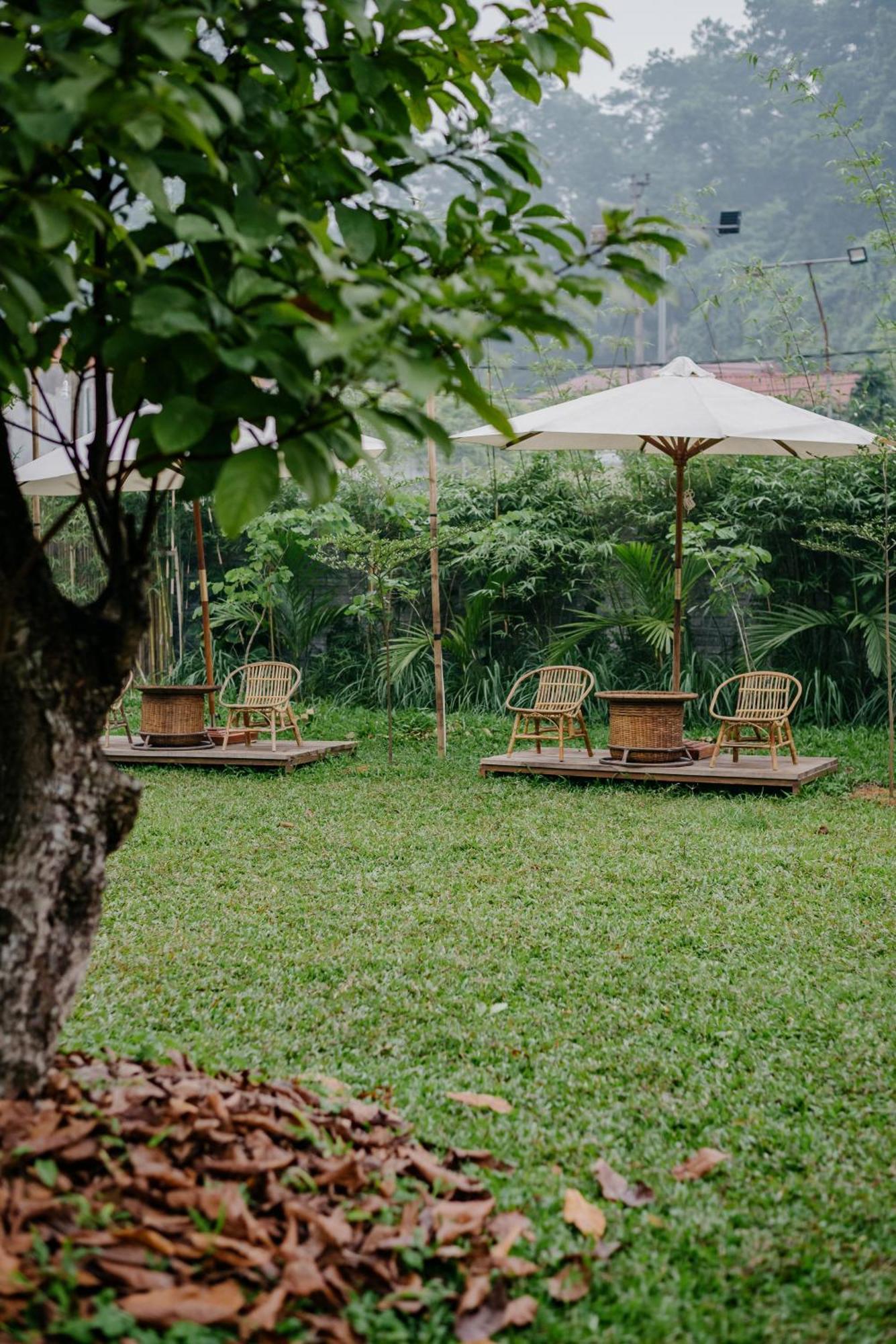 Dinh Gia Trang - Homestay & Coffee The Ruong Eksteriør bilde